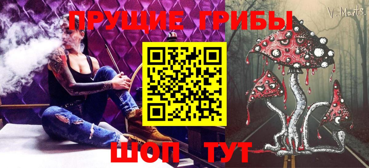 где можно купить   Вход с VPN  Псилоцибиновые грибы Cubensis  Благодарный  Псилоцибиновые грибы мицелий 